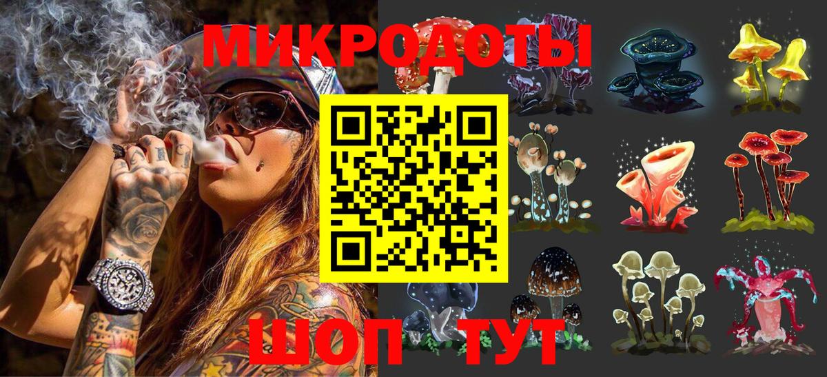 Сергиев Посад  Псилоцибиновые грибы Psilocybine cubensis  Вход с VPN 